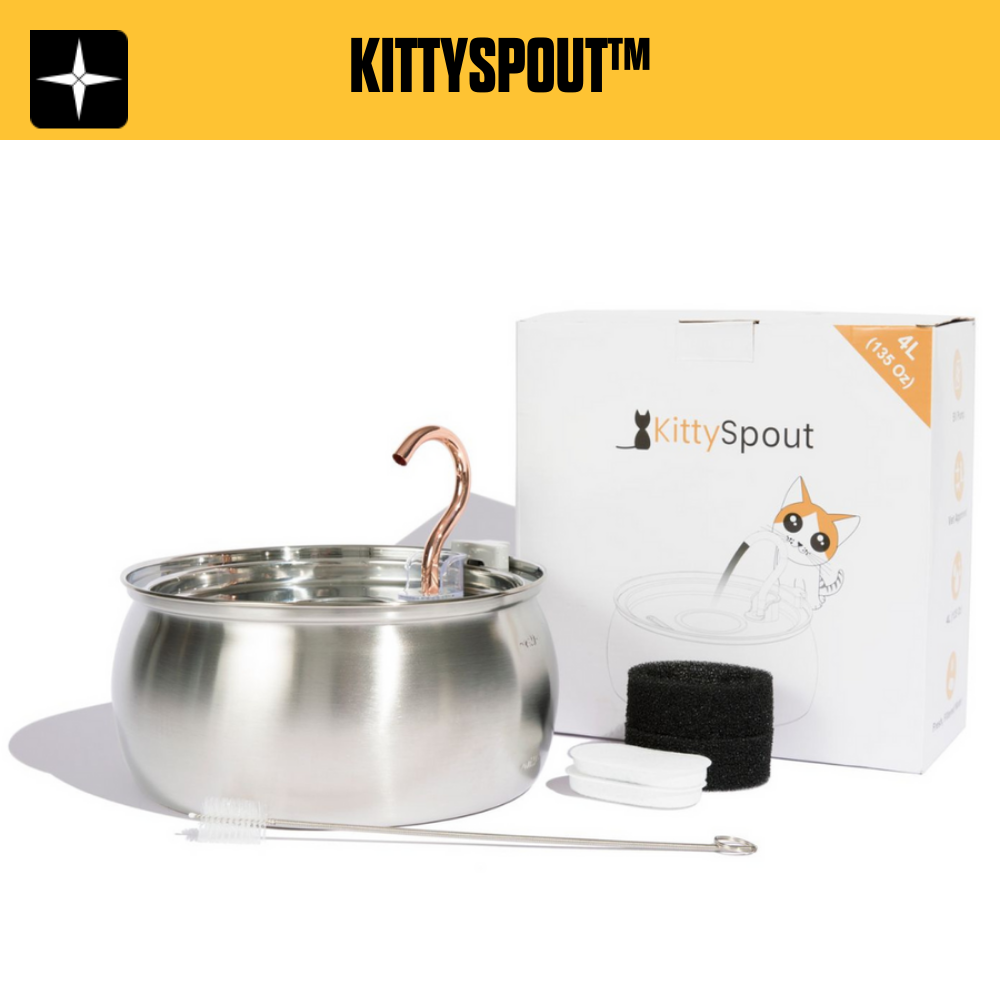 KittySpout™ | Hälsa & Lycka Kattkit