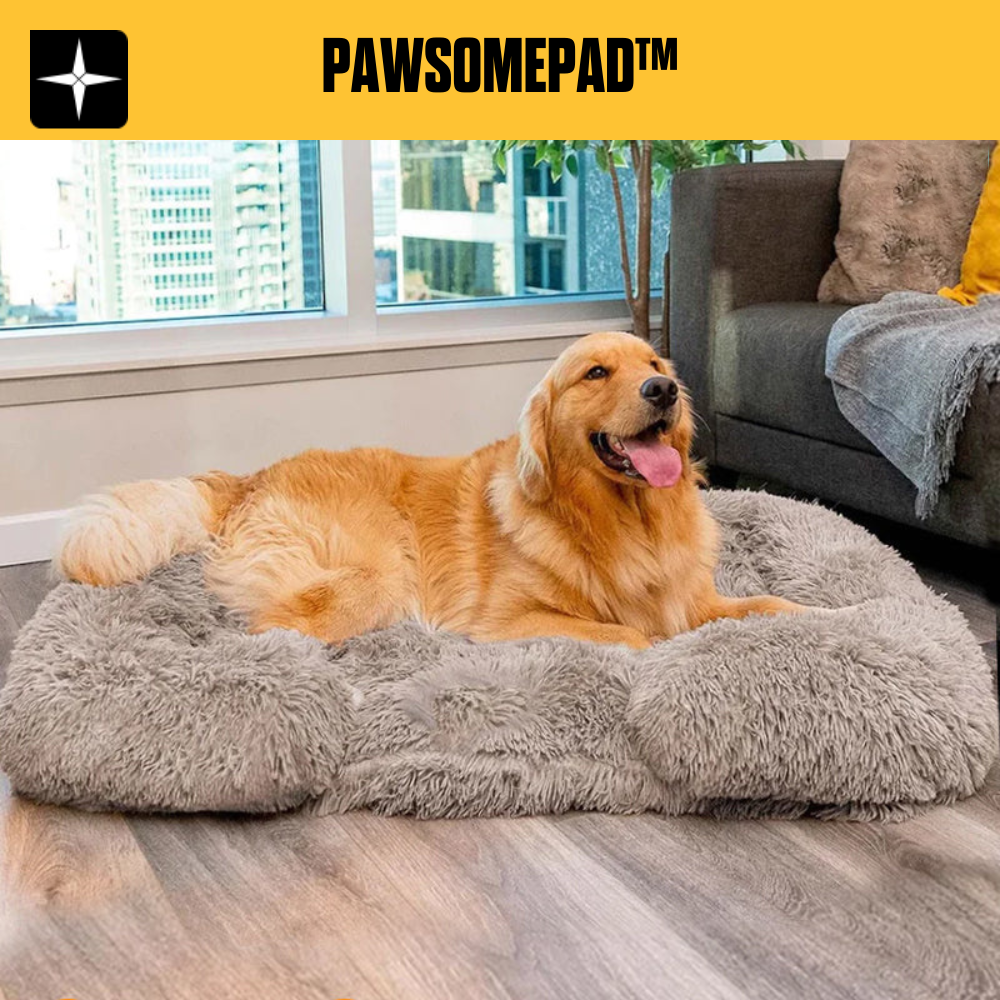 PawsomePad™ | Avslappnande Soffa (Minnesskum)