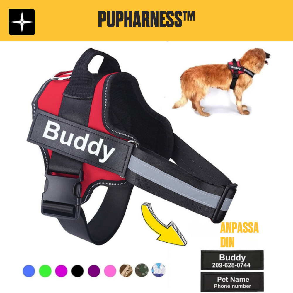 PupHarness™ | Personalized No Pull Dog Harness